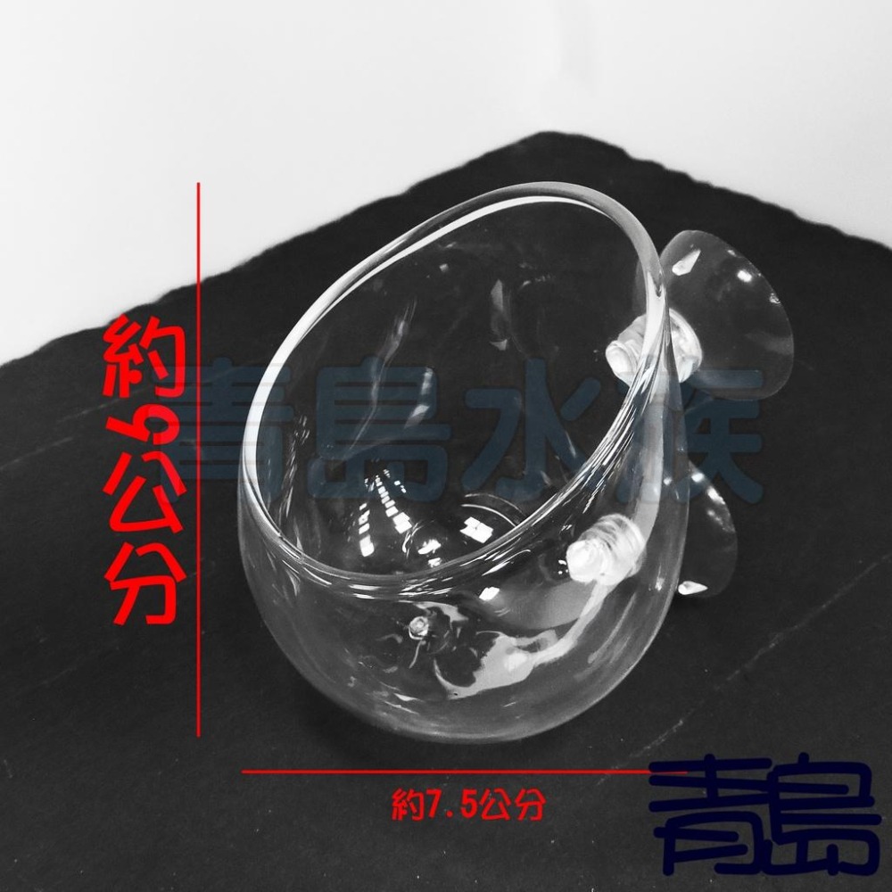 【新莊/五股/青島水族】玻璃工房 水草 超厚超白玻璃育景杯 (缸內型/波爾卡型)-細節圖3