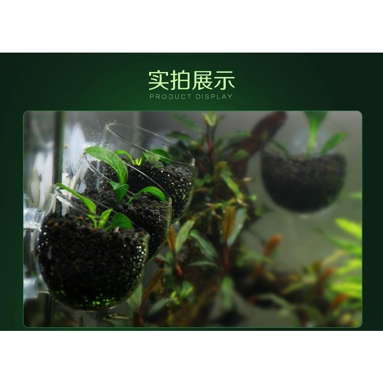 【新莊/五股/青島水族】玻璃工房 水草 超厚超白玻璃育景杯 (缸內型/波爾卡型)-細節圖4