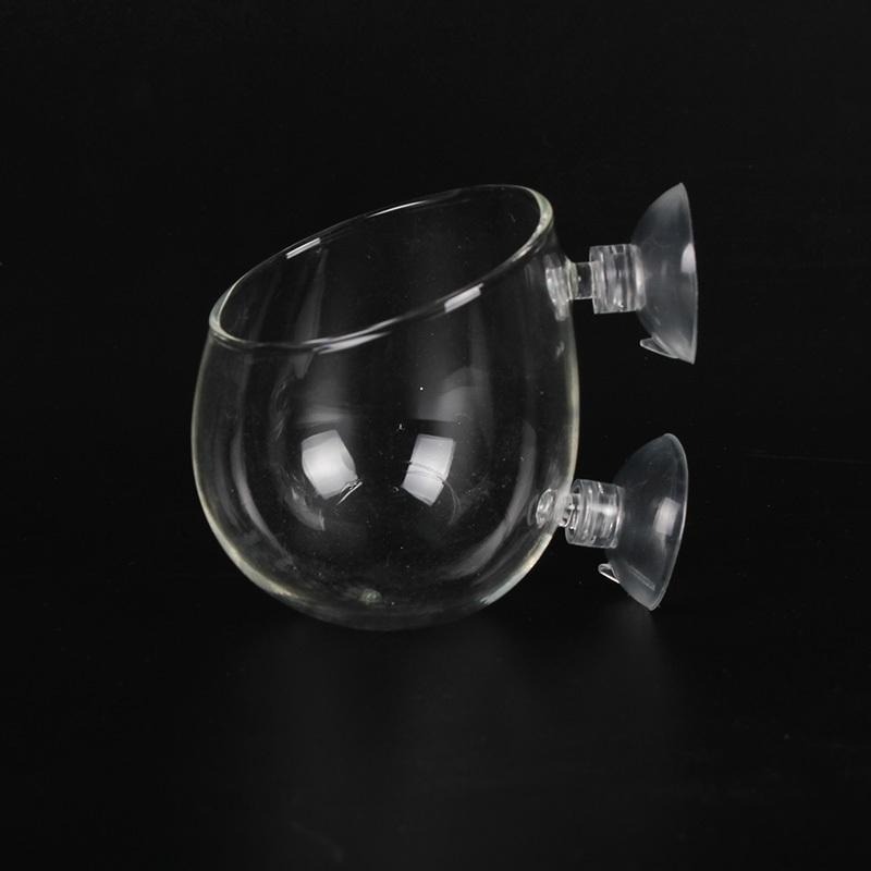 【新莊/五股/青島水族】玻璃工房 水草 超厚超白玻璃育景杯 (缸內型/波爾卡型)-細節圖6