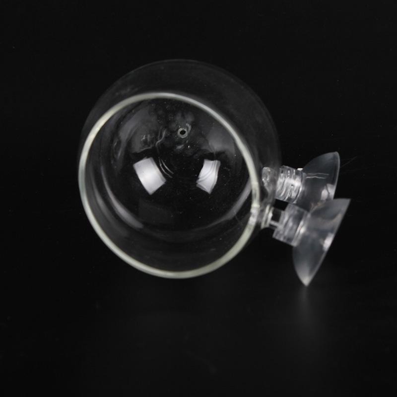 【新莊/五股/青島水族】玻璃工房 水草 超厚超白玻璃育景杯 (缸內型/波爾卡型)-細節圖8