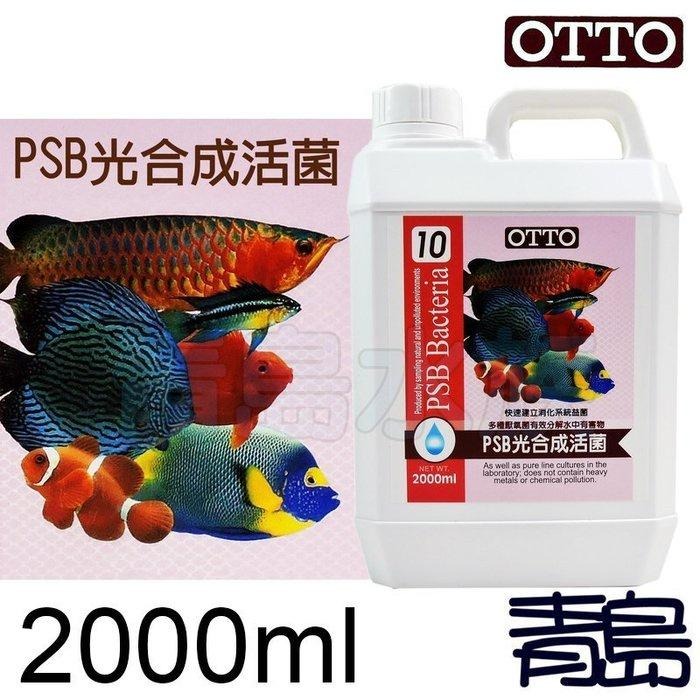 【青島水族】台灣OTTO奧圖 PSB光合成活菌 硝化菌-細節圖2