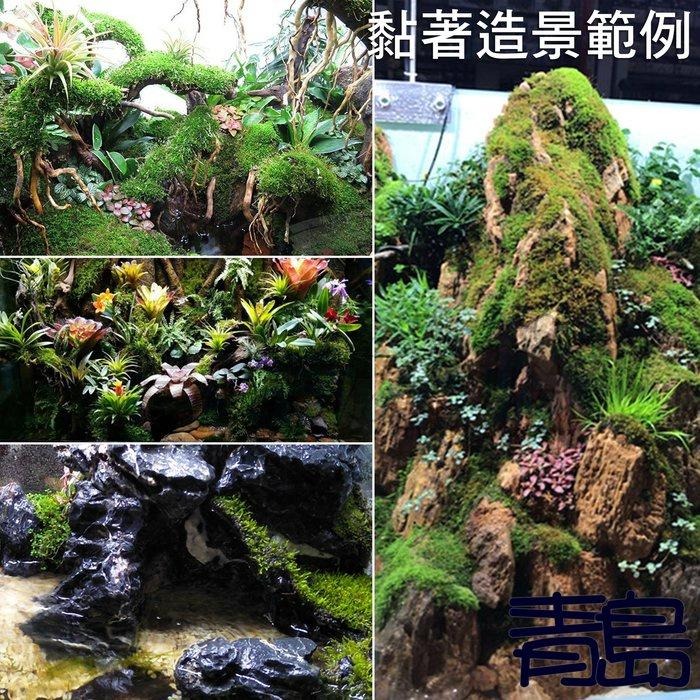 超大罐750ml苔蘚膠【新莊/五股/青島】苔蘚植物噴膠 生態缸 雨林缸 水陸缸 黏合膠 發泡膠 默斯 噴霧式瞬間膠-細節圖6