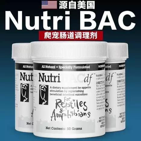 【新莊/五股/青島水族】美國NutriBAC df兩棲爬蟲.龜.蜥.專用益生菌NBAC 促進消化-細節圖4