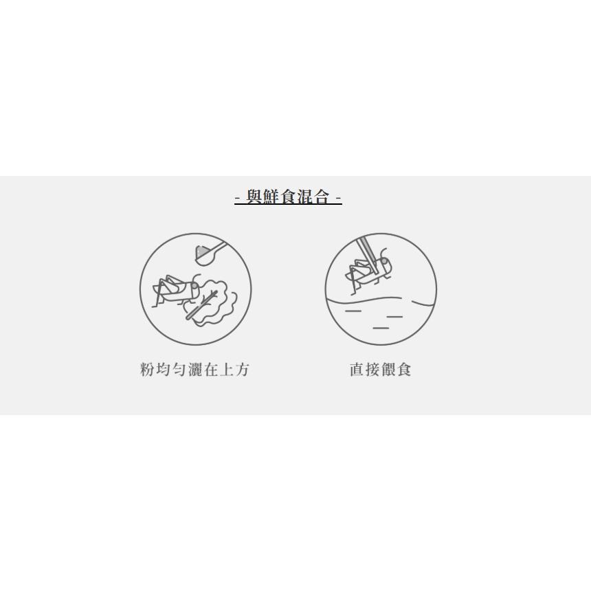 【新莊/五股/青島水族】EM 爬蟲 烏龜 兩爬 乳酸菌鈣粉 維生素D3 骨骼健康 促進食慾 維持腸道健康-細節圖3