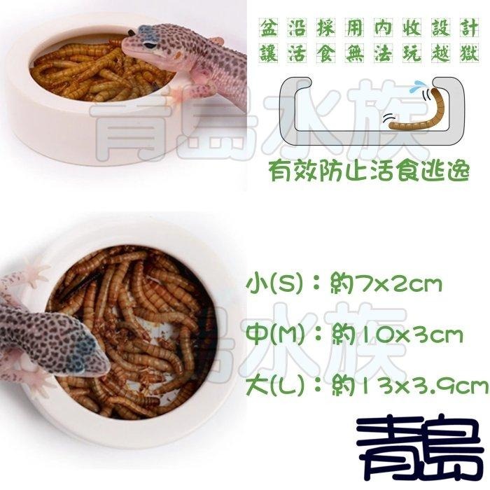 【新莊/五股/青島水族】防逃 爬蟲 烏龜 陸龜 守宮 食盆 防逃食皿 防翻碗 爬蟲 防逃脫飼料碗 活餌  麵包蟲-細節圖3