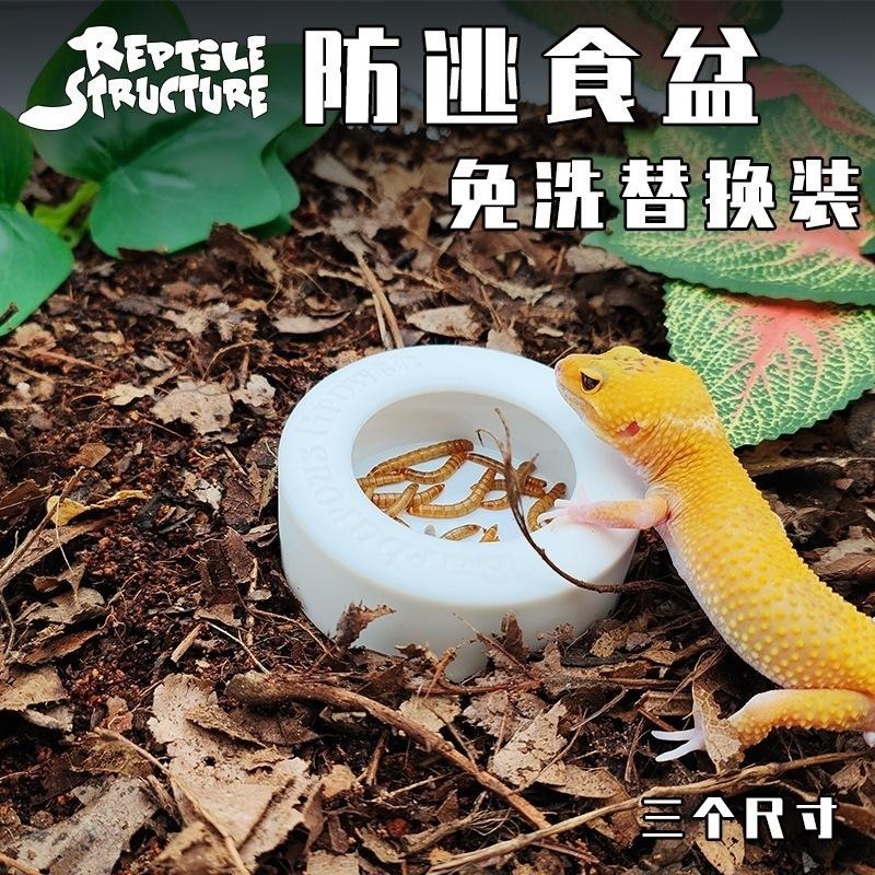 【新莊/五股/青島水族】防逃 爬蟲 烏龜 陸龜 守宮 食盆 防逃食皿 防翻碗 爬蟲 防逃脫飼料碗 活餌  麵包蟲-細節圖6