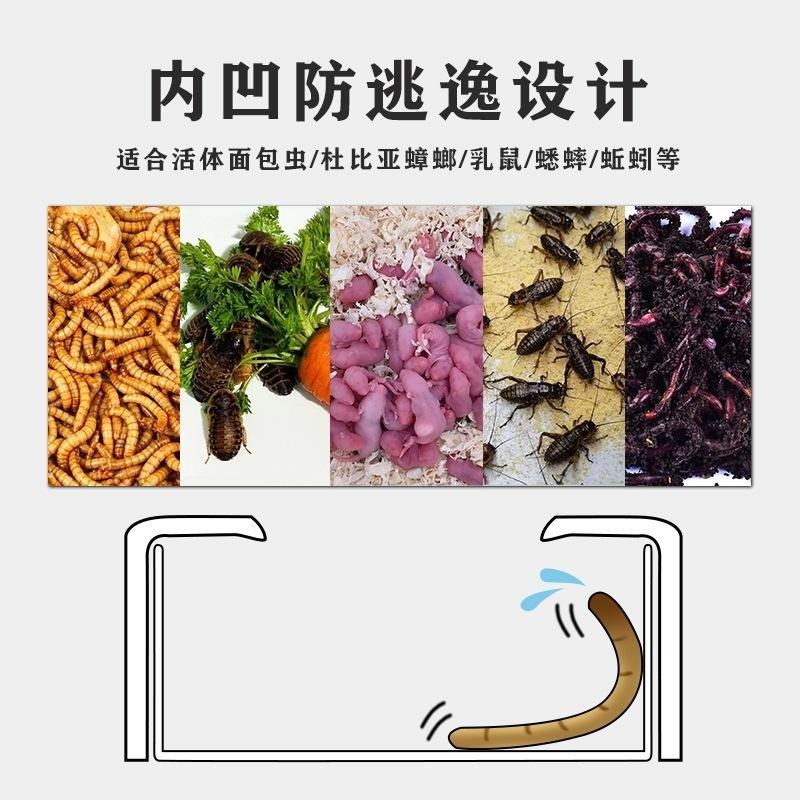 【新莊/五股/青島水族】防逃 爬蟲 烏龜 陸龜 守宮 食盆 防逃食皿 防翻碗 爬蟲 防逃脫飼料碗 活餌  麵包蟲-細節圖8