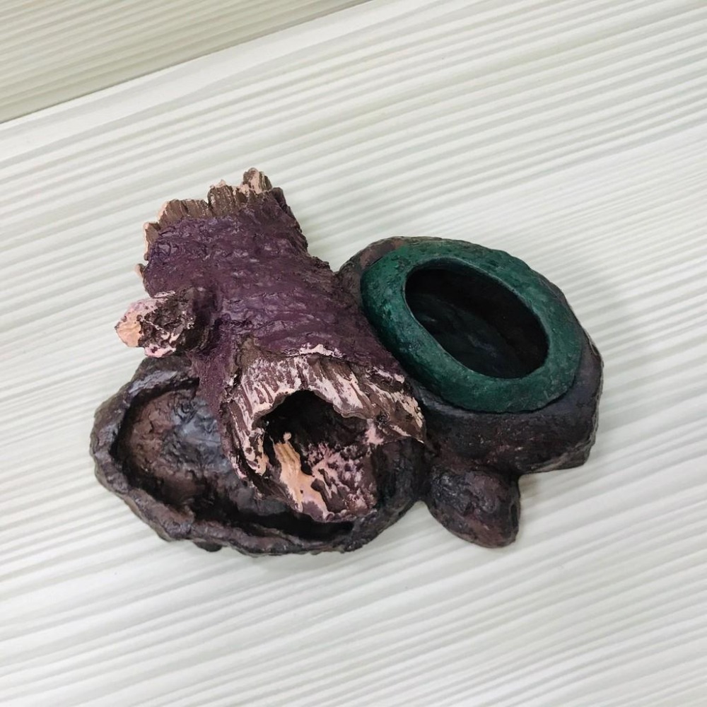 【青島水族】NOMO諾摩 NS-15 仿樹洞造型/爬蟲餵食盤/水盤/防逃食盆/大麥蟲/麵包蟲-細節圖2