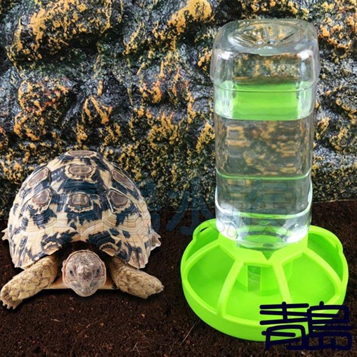 圍欄/荷葉水盆【新莊/五股/青島水族】NOMO諾摩Oracle甲骨文-綠色爬蟲喝水杯兩棲爬蟲 水盆 飼料盆-細節圖5