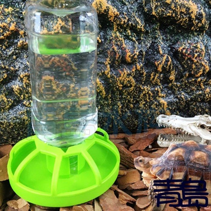 圍欄/荷葉水盆【新莊/五股/青島水族】NOMO諾摩Oracle甲骨文-綠色爬蟲喝水杯兩棲爬蟲 水盆 飼料盆-細節圖6