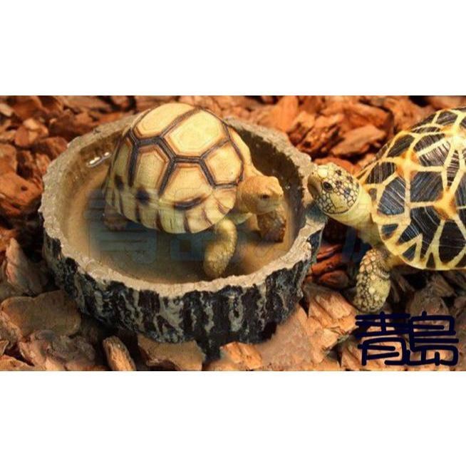 【新莊/五股/青島水族】NOMO諾摩  木紋爬蟲 食盆 兩棲爬蟲/陸龜NS-42-細節圖4