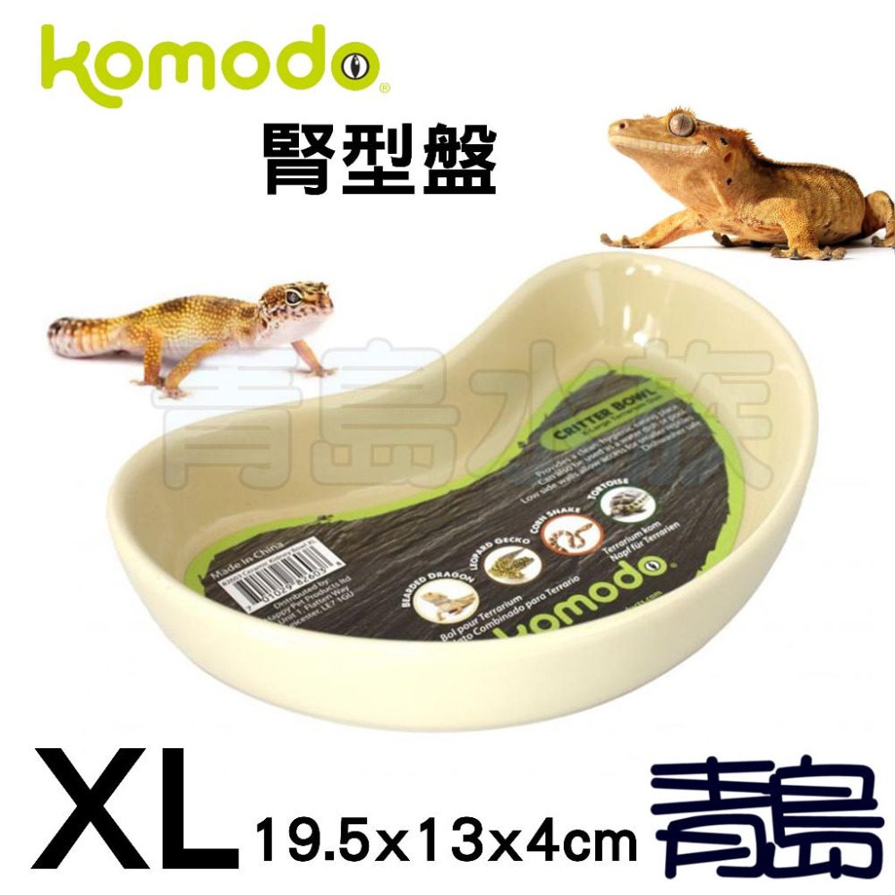 【青島水族】英國komodo科魔多=腎型狀/L.XL=精緻陶瓷飼料盤 餵食盤 泡水盤 兩爬 水盆 腎型盤 麵包蟲 守宮-細節圖2