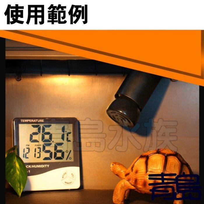 【青島水族】遠紅外線 加熱燈泡 迷你型 25W 50W 75W 100W 陶瓷燈泡 保溫加溫取暖 不發光 爬蟲 烏龜 鸚-細節圖8