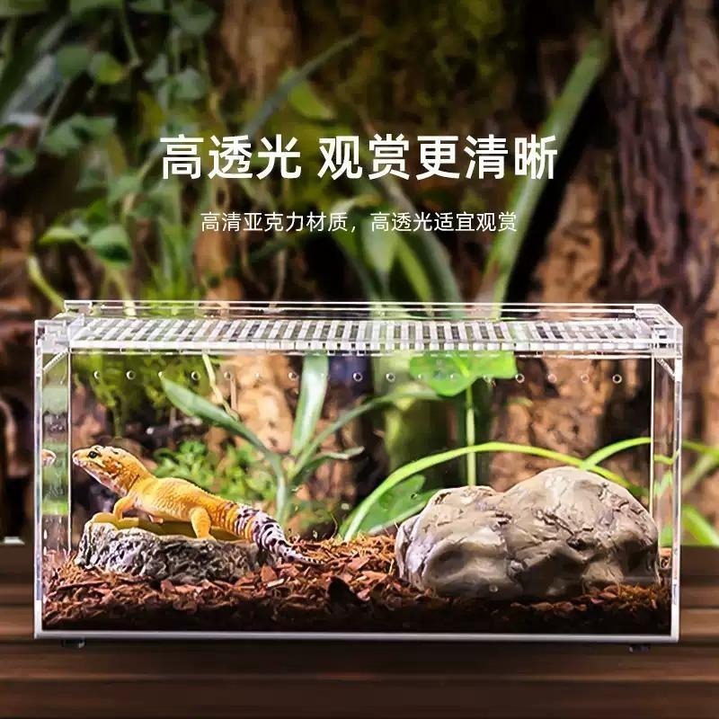 一體成形/可裝水【新莊/五股/青島】磁吸式壓克力飼養箱 磁吸上蓋 高清透明 通風透氣 兩棲樹棲地棲 守宮 蜥蜴 爬蟲盒-細節圖3