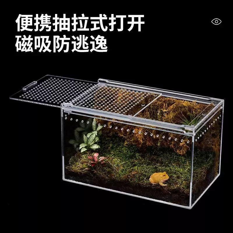 一體成形/可裝水【新莊/五股/青島】磁吸式壓克力飼養箱 磁吸上蓋 高清透明 通風透氣 兩棲樹棲地棲 守宮 蜥蜴 爬蟲盒-細節圖4