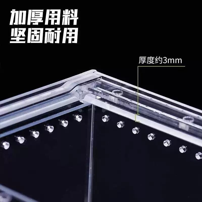 一體成形/可裝水【新莊/五股/青島】磁吸式壓克力飼養箱 磁吸上蓋 高清透明 通風透氣 兩棲樹棲地棲 守宮 蜥蜴 爬蟲盒-細節圖6