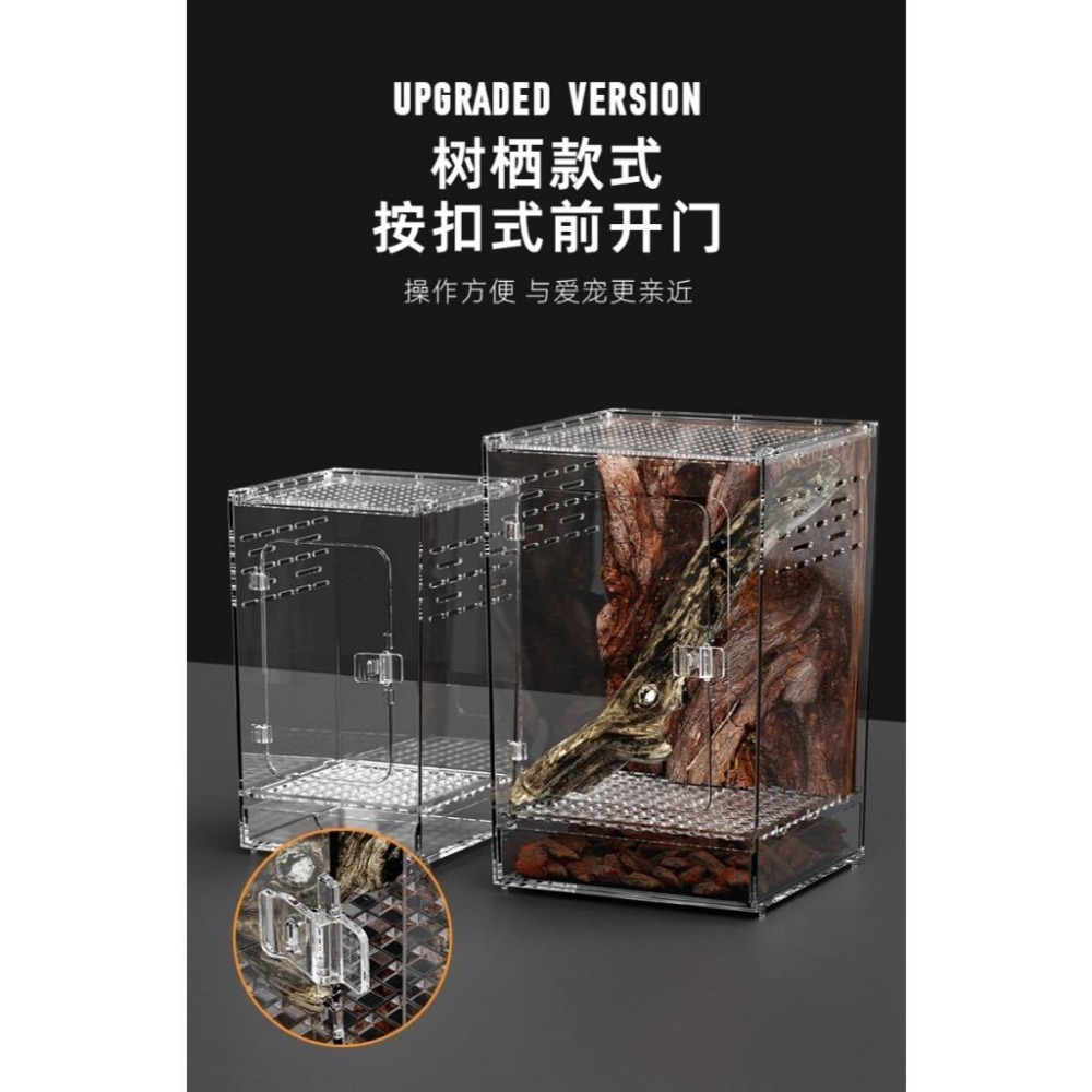 一體成形/可裝水【新莊/五股/青島】磁吸式壓克力飼養箱 磁吸上蓋 高清透明 通風透氣 兩棲樹棲地棲 守宮 蜥蜴 爬蟲盒-細節圖7