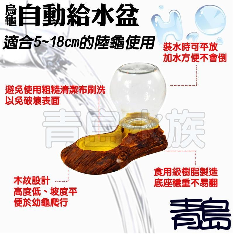 【五股/新莊/青島水族】台灣Oracle甲骨文-幼龜用自動給水盆 飲水器 蓄水 喂水 陸龜爬蟲寵物==附水瓶-細節圖3