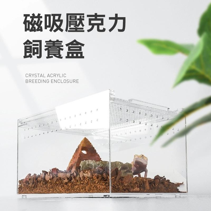 一體成形/可裝水【新莊/五股/青島】磁吸式壓克力飼養箱 磁吸上蓋 高清透明 通風透氣 守宮 蜘蛛 角蛙 甲蟲 飼養盒-細節圖2