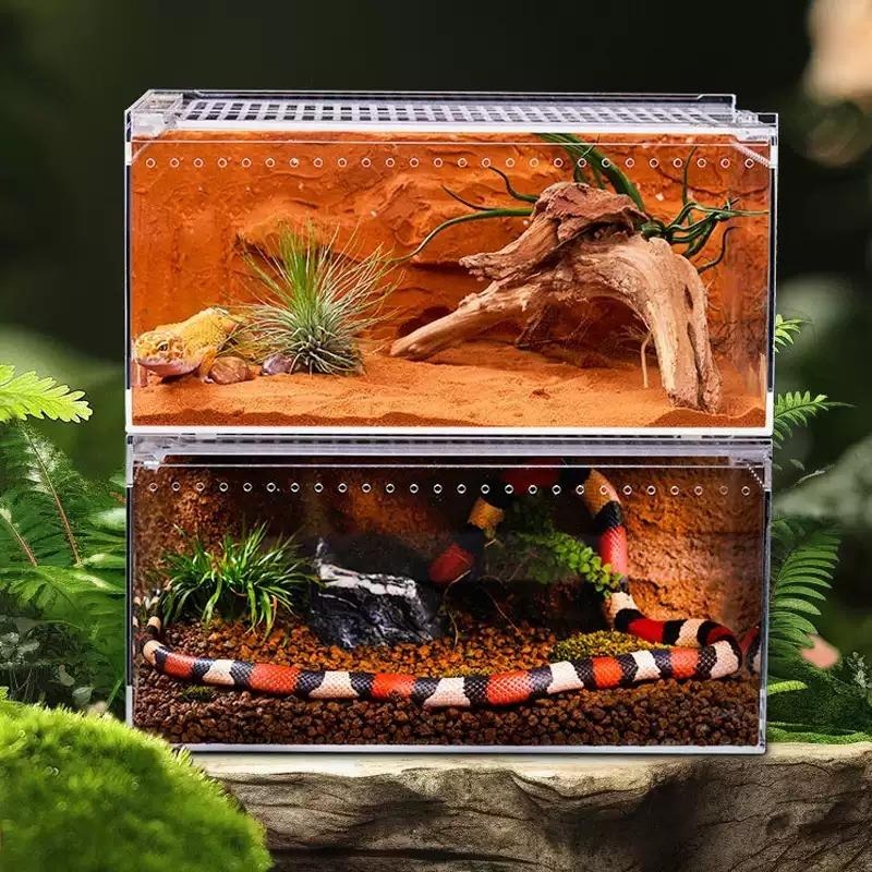 一體成形/可裝水【新莊/五股/青島】磁吸式壓克力飼養箱 磁吸上蓋 高清透明 通風透氣 守宮 蜘蛛 角蛙 甲蟲 飼養盒-細節圖7