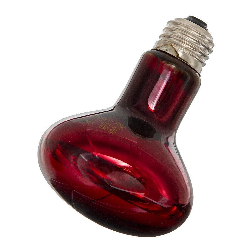 夜間紅外線熱燈泡【新莊/五股/青島水族】美國ZOO MED  兩棲爬蟲  爬蟲保暖用E27規格 紅玻璃-細節圖3