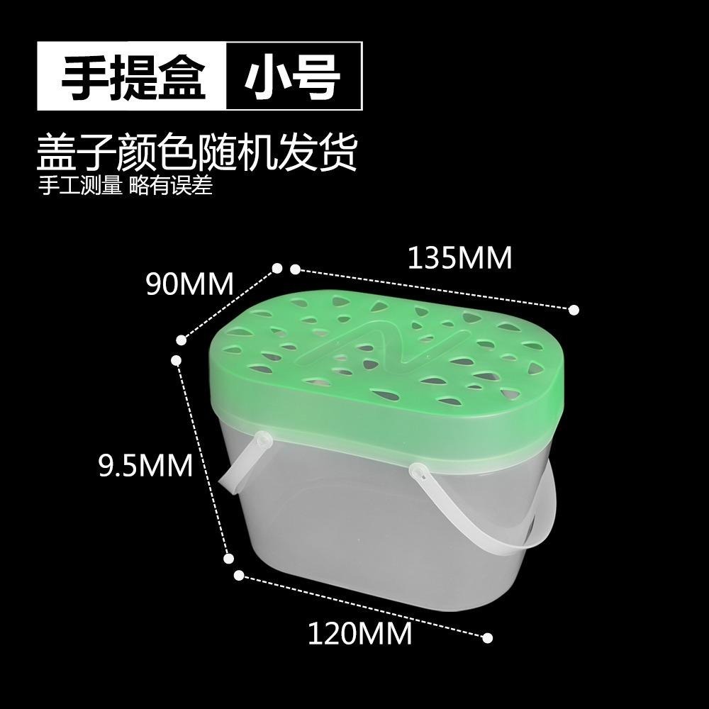【新莊/五股/青島水族】果凍手提飼養箱 手提盒 外出盒 飼養盒 手提箱 塑膠飼養箱 昆蟲盒 爬蟲 陸龜 澤龜 守宮 鬥魚-細節圖2