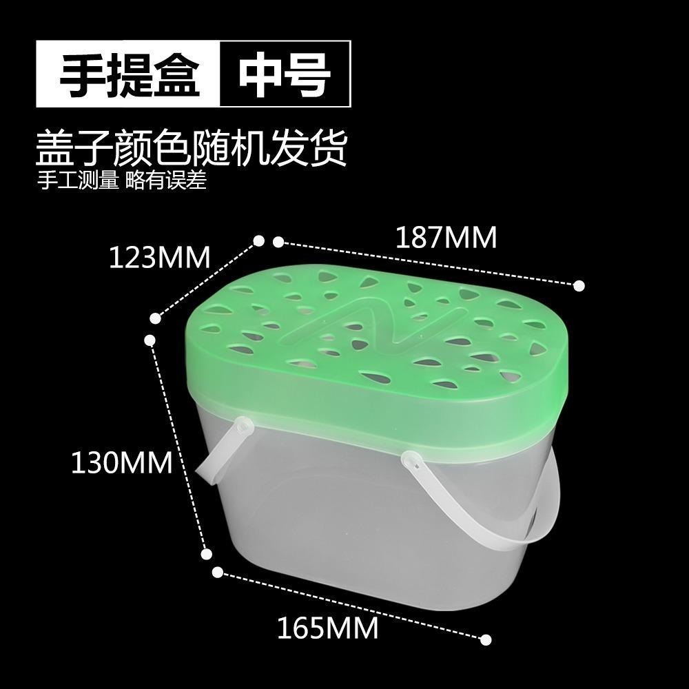【新莊/五股/青島水族】果凍手提飼養箱 手提盒 外出盒 飼養盒 手提箱 塑膠飼養箱 昆蟲盒 爬蟲 陸龜 澤龜 守宮 鬥魚-細節圖3