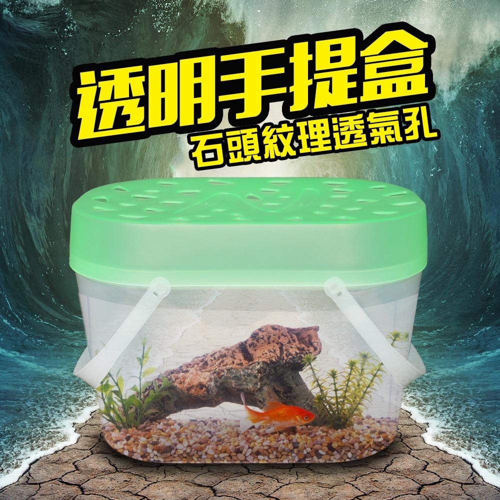 【新莊/五股/青島水族】果凍手提飼養箱 手提盒 外出盒 飼養盒 手提箱 塑膠飼養箱 昆蟲盒 爬蟲 陸龜 澤龜 守宮 鬥魚-細節圖7
