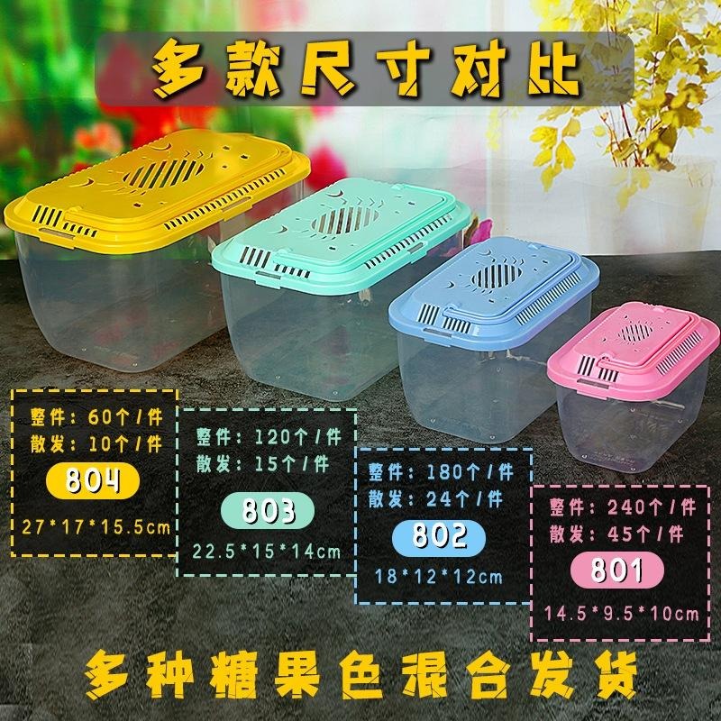 方形 長方形【新莊/五股/青島水族】爬蟲飼育箱.手提箱.爬蟲箱.昆蟲.鬥魚盒 鬥魚缸  隔離盒.易上手 螃蟹盒-細節圖5