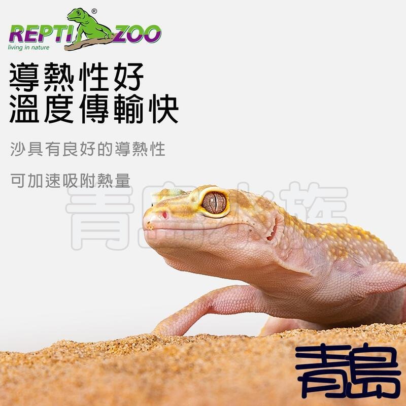 金黃/沙漠橙【新莊/五股/青島】中國REPTI ZOO瑞皮 天然爬蟲鈣砂 鈣沙 底砂 守宮 蜥蜴 蛇 蠍子 沙漠龜-細節圖5