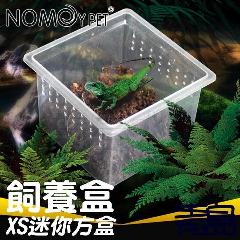 【新莊/五股/青島水族】中國NOMO諾摩=XS迷你/方型*10入=掌上名蛛 爬蟲飼養盒 可堆疊 飼育盒 昆蟲箱-細節圖3