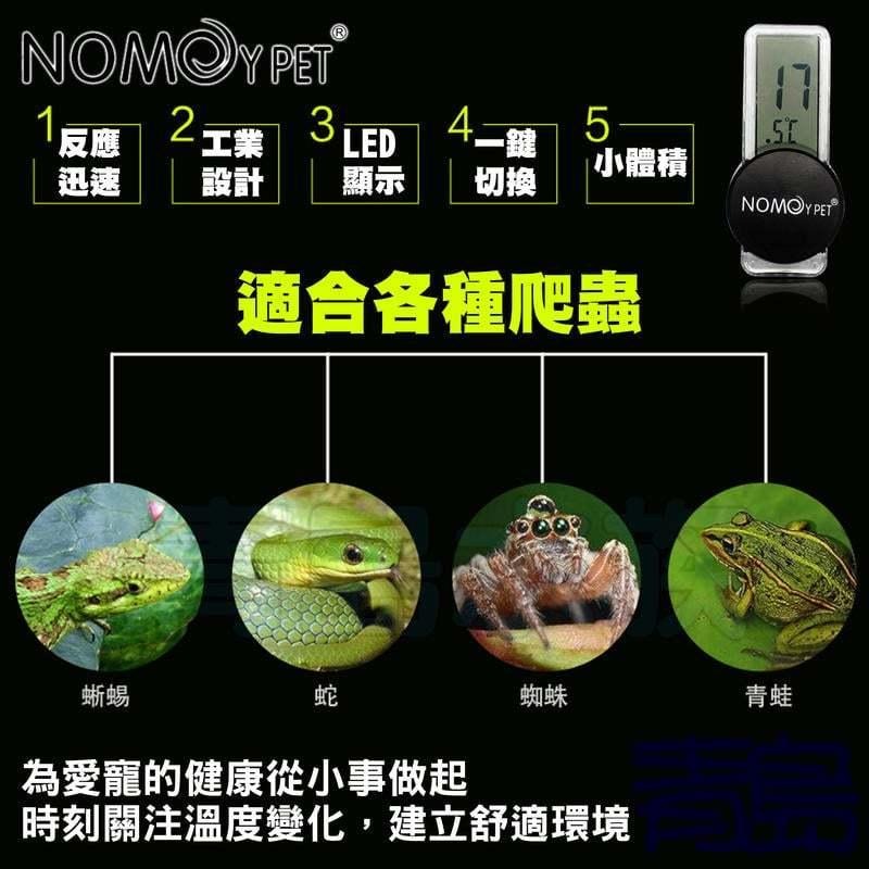 【青島水族】諾摩NOMO 電子數位顯示雨林溫度計 溫度計 電子式 兩棲 爬蟲 蜥蜴 蜘蛛 蛇==3.2x6.5cm-細節圖7