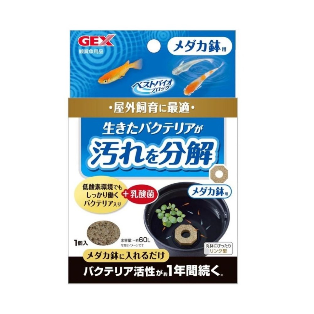 觀賞魚/鱂魚/烏龜【青島水族】日本GEX 五味 納豆菌+硝化菌 納豆菌磚 淨水磚 淨水環 淨水條 硝化菌磚 過濾棒 濾材-細節圖5