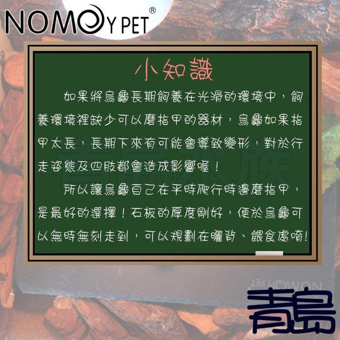 【新莊/五股/青島水族】NOMO諾摩-烏龜爬行板岩 頁岩 爬蟲 岩板 岩片 水魚缸造景 磨甲岩板 烏龜磨甲-細節圖4