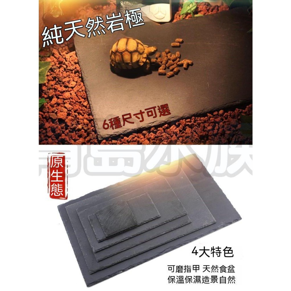 【新莊/五股/青島水族】NOMO諾摩-烏龜爬行板岩 頁岩 爬蟲 岩板 岩片 水魚缸造景 磨甲岩板 烏龜磨甲-細節圖6