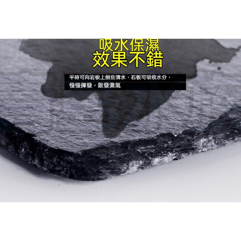 【新莊/五股/青島水族】NOMO諾摩-烏龜爬行板岩 頁岩 爬蟲 岩板 岩片 水魚缸造景 磨甲岩板 烏龜磨甲-細節圖7