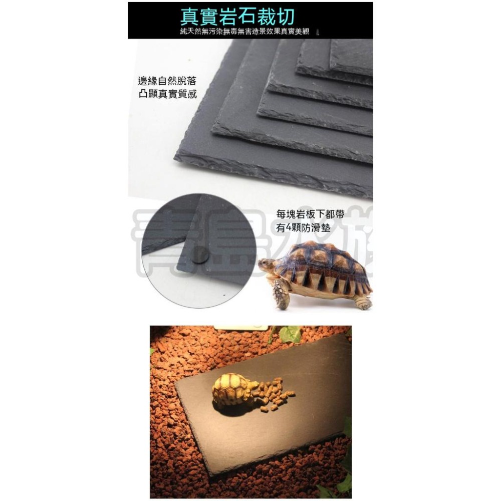 【新莊/五股/青島水族】NOMO諾摩-烏龜爬行板岩 頁岩 爬蟲 岩板 岩片 水魚缸造景 磨甲岩板 烏龜磨甲-細節圖8