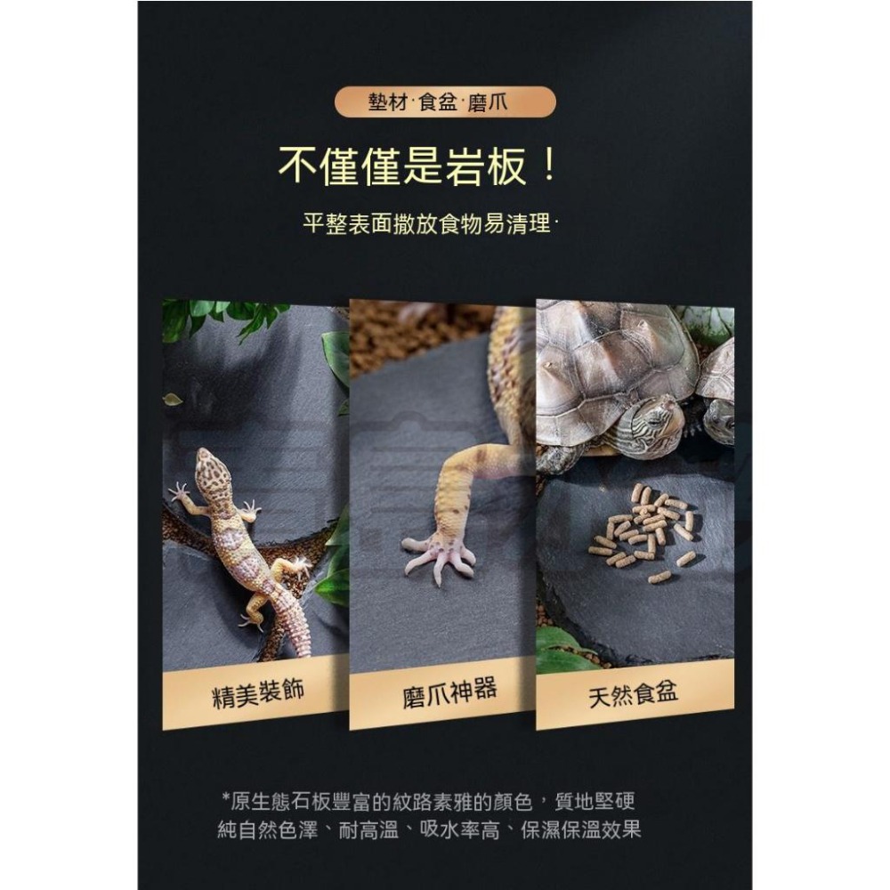 【新莊/五股/青島水族】NOMO諾摩-烏龜爬行板岩 頁岩 爬蟲 岩板 岩片 水魚缸造景 磨甲岩板 烏龜磨甲-細節圖9