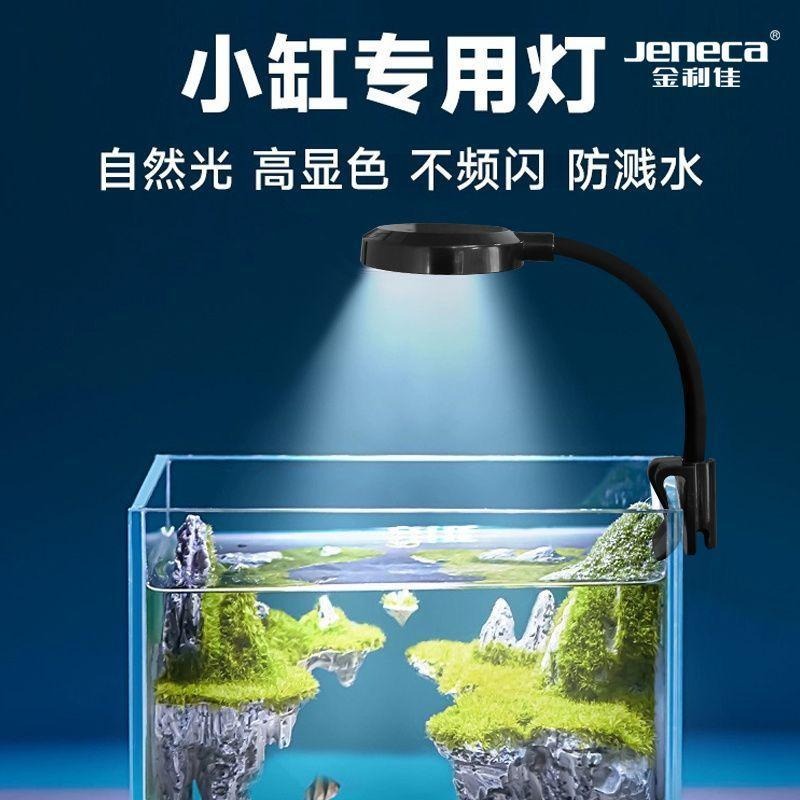 可調光/變色/USB/圓盤夾燈【新莊/五股/青島水族】水族夾燈 LED 水草燈 水族燈 增豔燈 LED夾燈-細節圖2