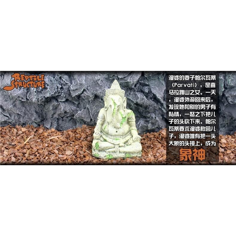 象神坐像【五股/新莊/青島】台灣Oracle甲骨文-世界奇景 佛像 爬蟲 仿真 造景 守宮 蜘蛛 魚缸-細節圖6