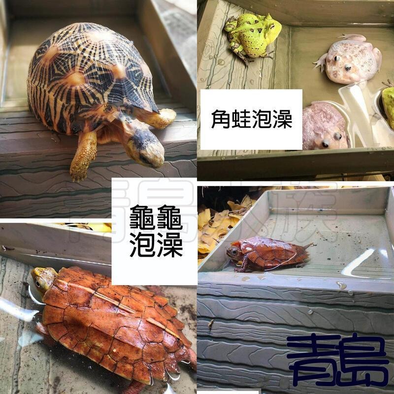 岩石色/36cm【新莊/五股/青島水族】木紋泡澡盆 泡水盆 食盆 兩棲 爬蟲 陸龜 半水龜 角蛙-細節圖4