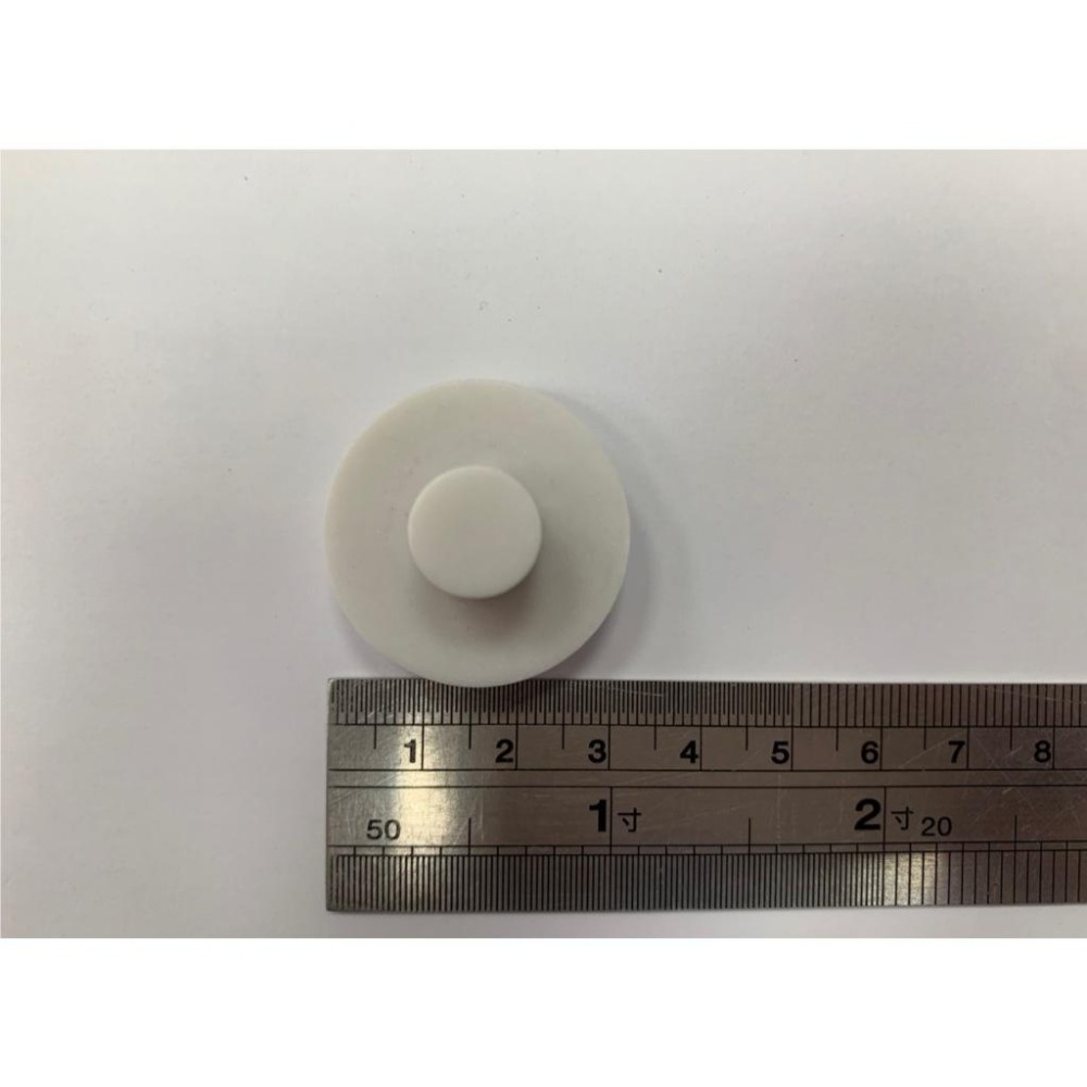 珊瑚基座【新莊/五股/青島水族】ISTA 伊士達 海水 軟體 珊瑚 LPS斷支基座 鈕扣基座 繁殖架 繁殖座-細節圖2