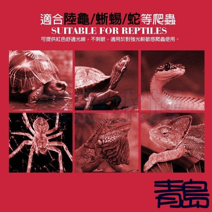 (微光) 【新莊/五股/青島水族】 諾摩 NOMO 夜間紅外線聚熱燈泡   保溫 保暖燈-細節圖2