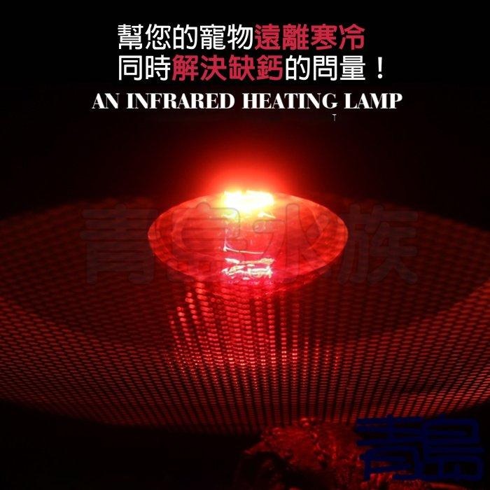 (微光) 【新莊/五股/青島水族】 諾摩 NOMO 夜間紅外線聚熱燈泡   保溫 保暖燈-細節圖5