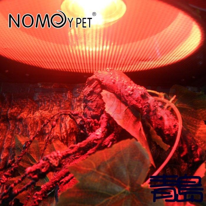 (微光) 【新莊/五股/青島水族】 諾摩 NOMO 夜間紅外線聚熱燈泡   保溫 保暖燈-細節圖6