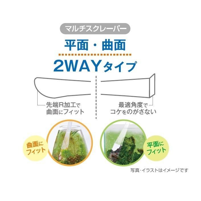 日本GEX五味 兩用青苔刮板【新莊/五股/青島水族】 海綿青苔刮除刀 平面 曲面 圓缸 除藻 刮刀 刮藻刀 清潔刷-細節圖2
