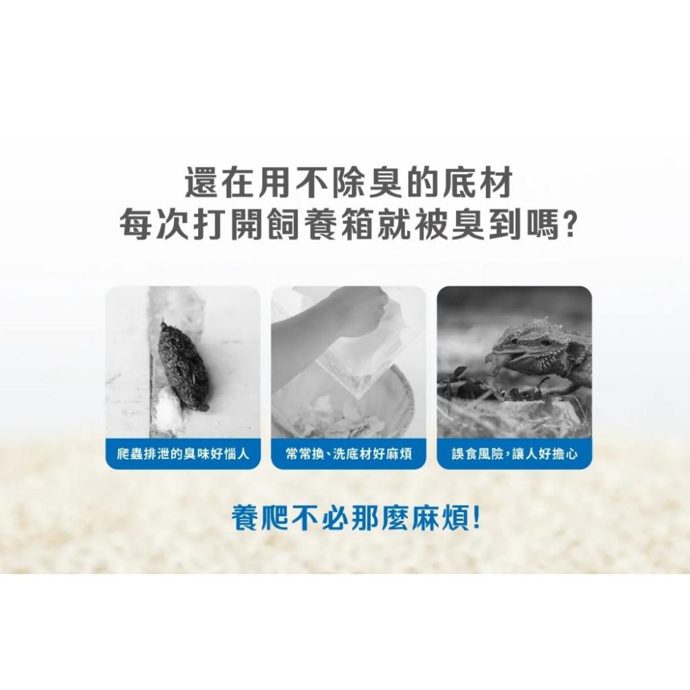 爬蟲底材【新莊/五股/青島水族】長效除臭 生態砂 米白/碳黑 約3L/2kg 角落水族 藍舌、鬆獅、守宮、蛇-細節圖4