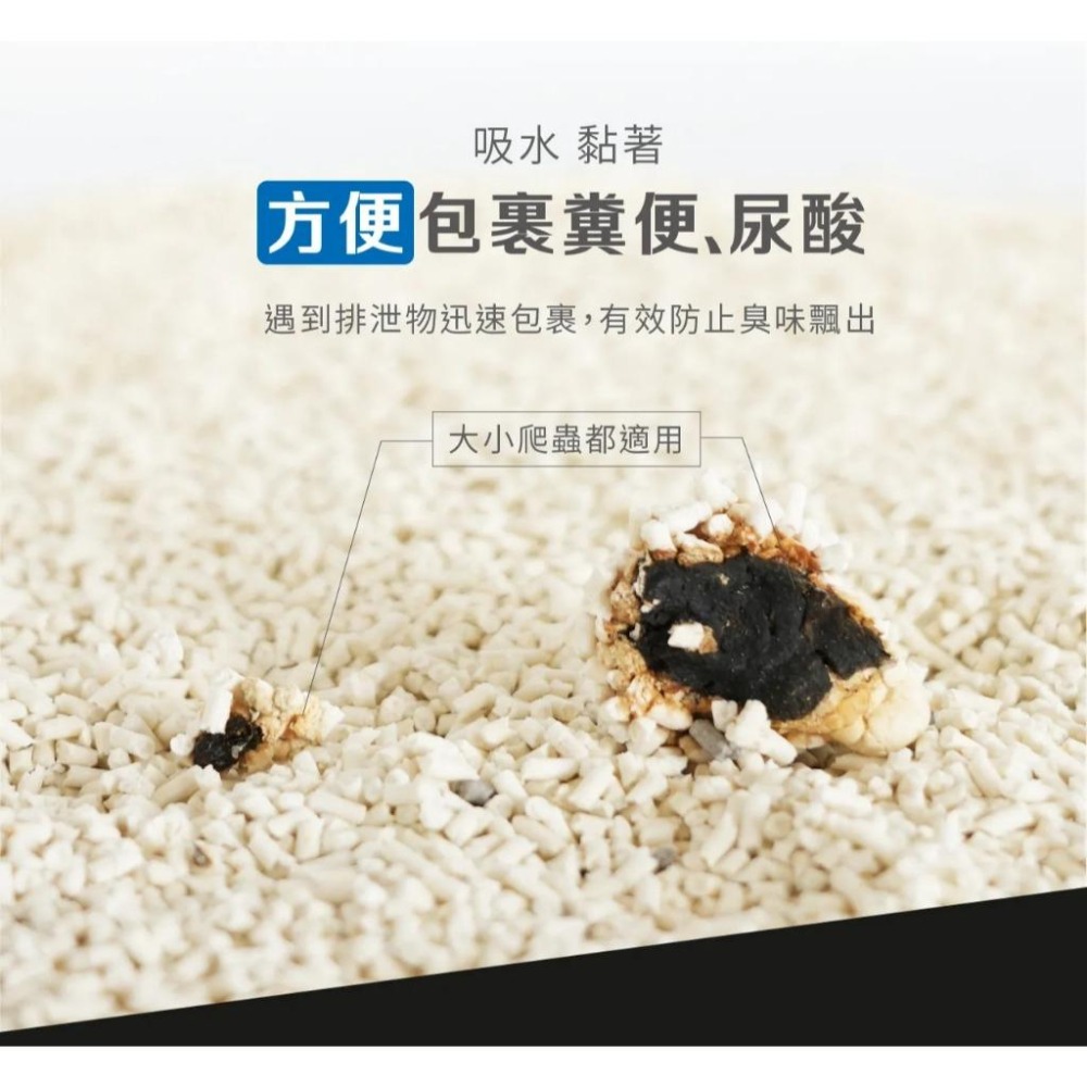 爬蟲底材【新莊/五股/青島水族】長效除臭 生態砂 米白/碳黑 約3L/2kg 角落水族 藍舌、鬆獅、守宮、蛇-細節圖5