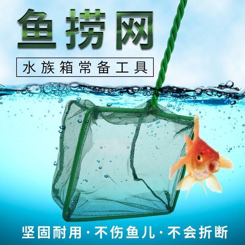 【新莊/五股/青島水族】撈魚網 細目 粗目 4吋 6吋 8吋 10吋 撈漁網 手撈網 清潔 漁網-細節圖2