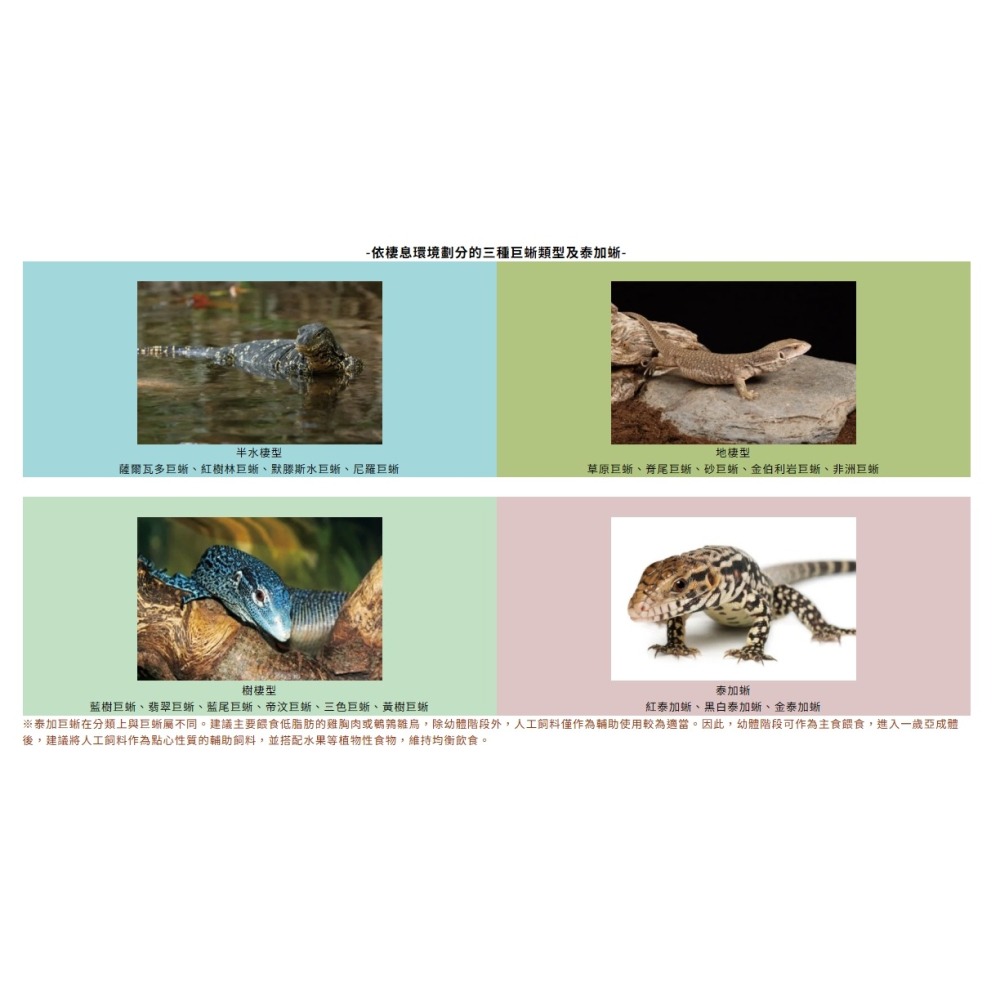 【新莊/五股/青島水族】日本 Hikar高夠力 兩棲爬蟲 高夠力 巨蜥飼料 500g 200g-細節圖3